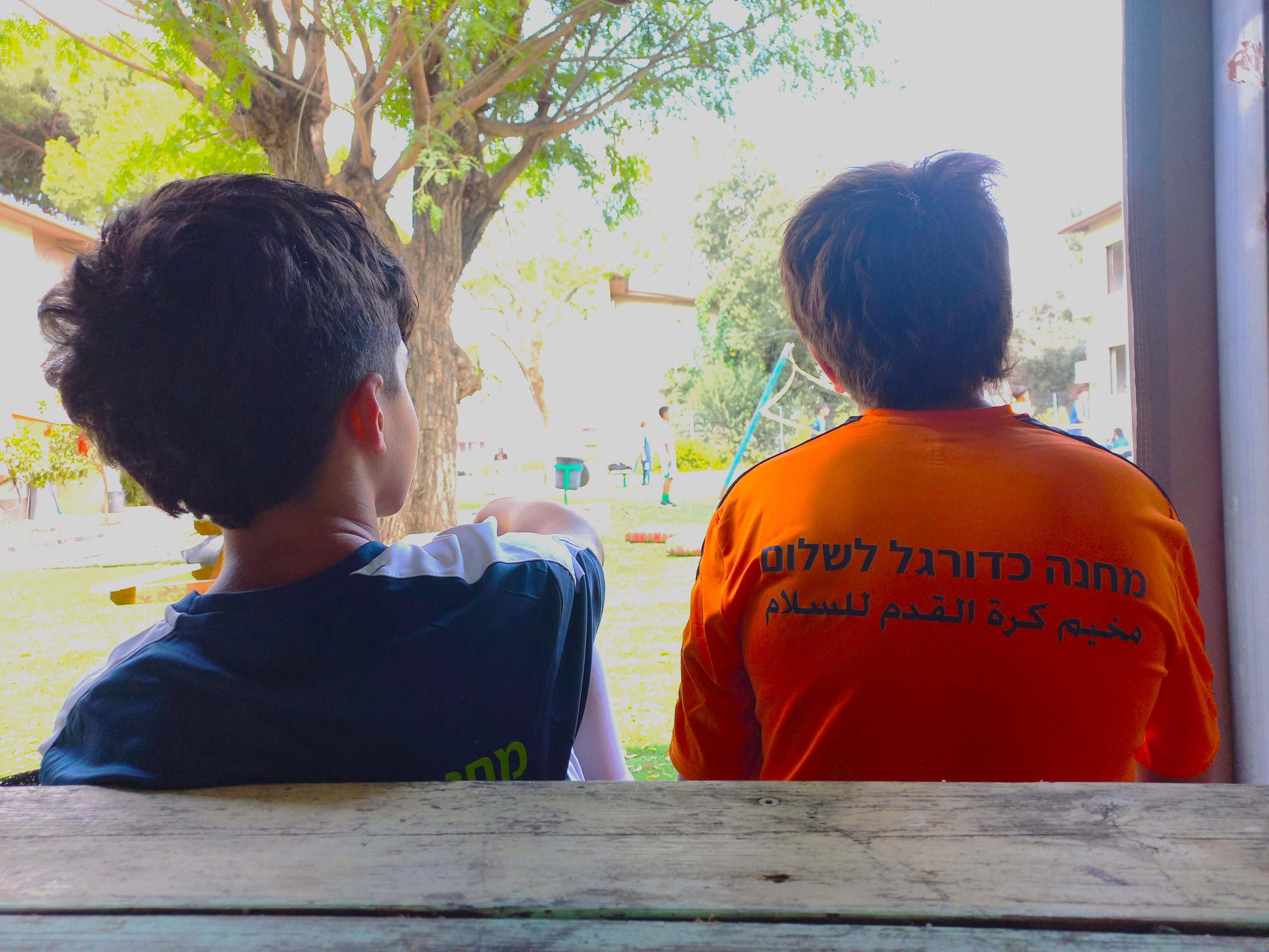 אילוסטרציה סקר